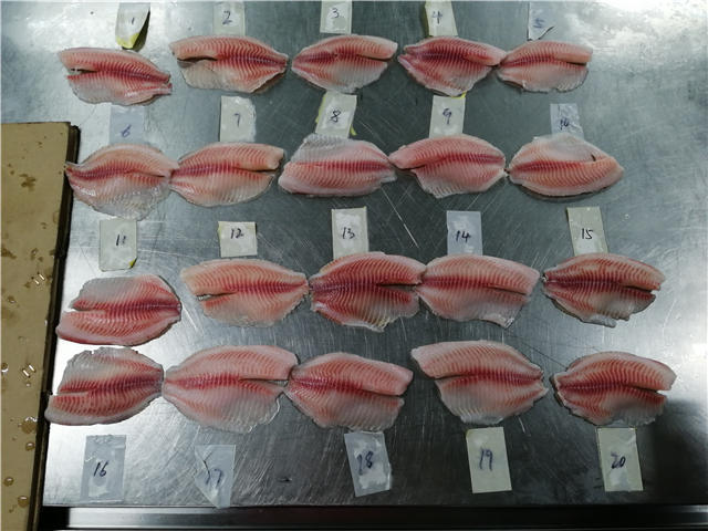 生鲜食品供应链的守护神 第三方验货与验厂服务的价值与选择指南