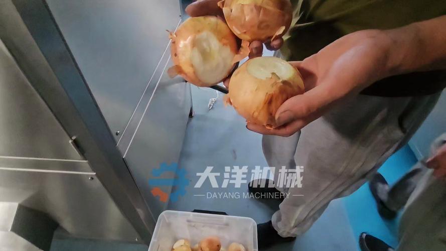 黄洋葱脱皮机客户验货 洋葱去皮设备生产厂家